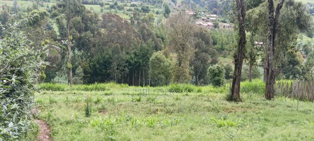 1 Acre Land on Sale - thumbnail 2