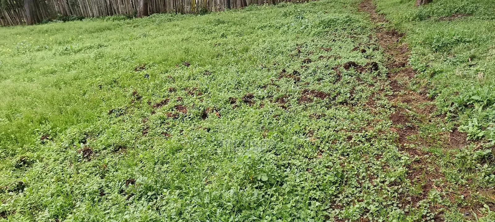 1 Acre Land on Sale