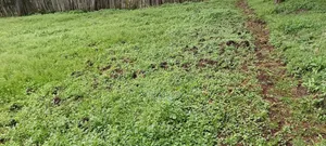 1 Acre Land on Sale