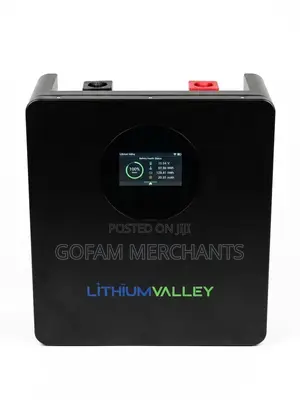 Lithium Valley 2.56kwh Wall Mount Lithium Battery – Solar/Inverter Use