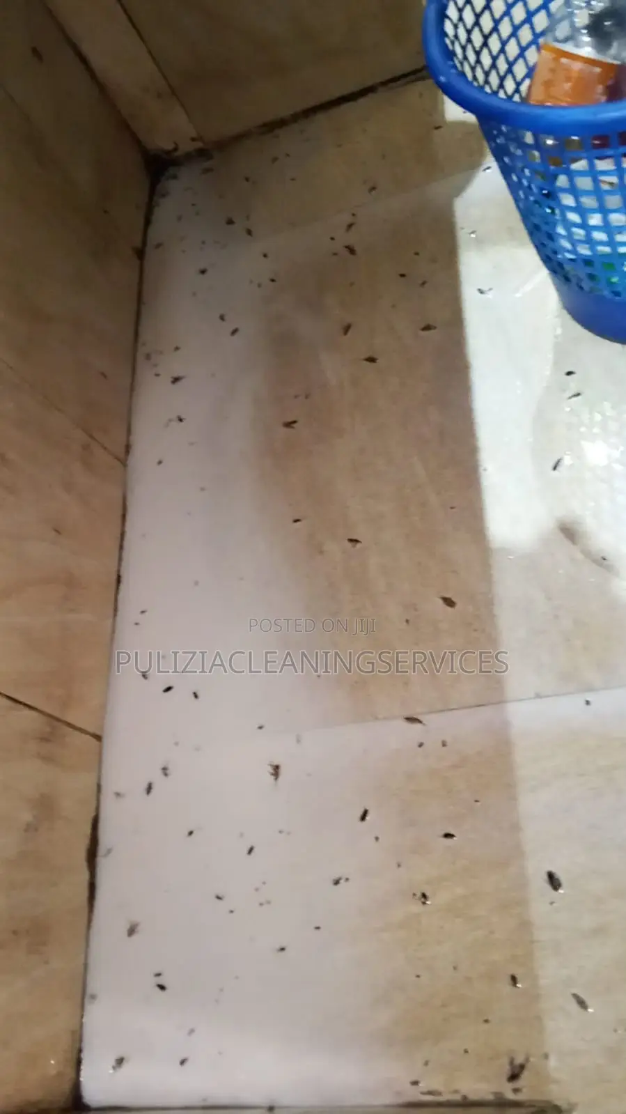 Professional House/ Workplace Deep Cleaning