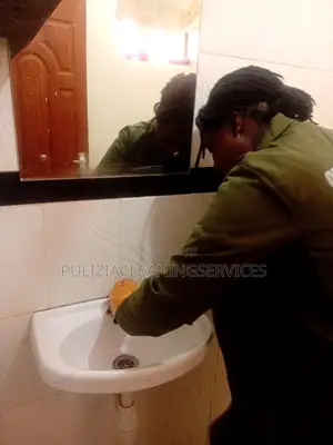 Professional House/ Workplace Deep Cleaning