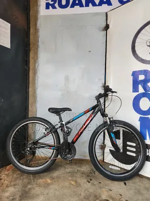 24-Inch Ex Usa Schwinn Bicycle