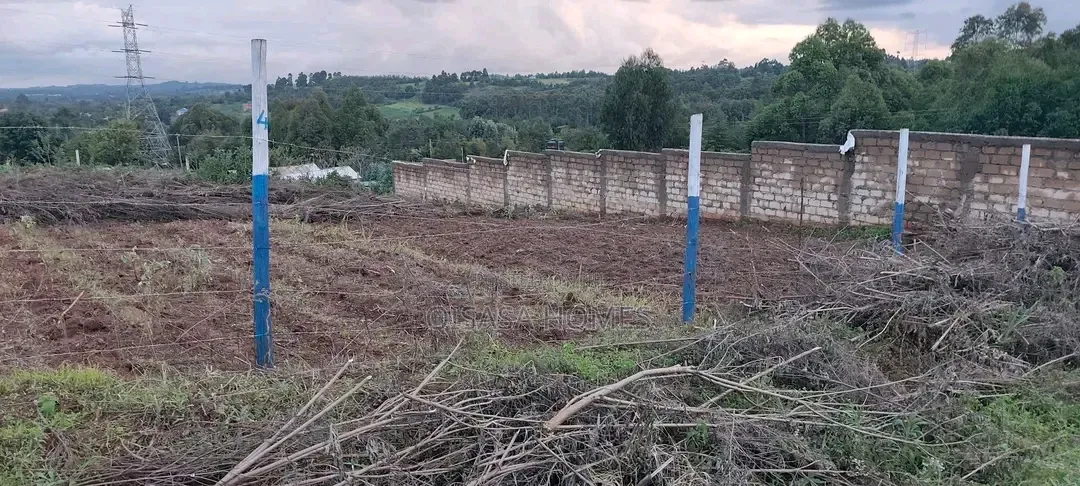 Land And Plot