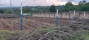 Land And Plot