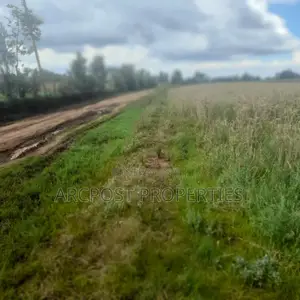 12 Acres for Sale in Ex-Lewa With View of Mount Kenya