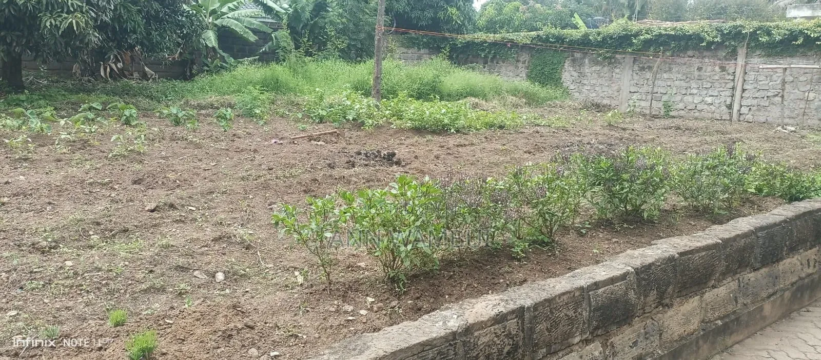1/4 Land for Sale