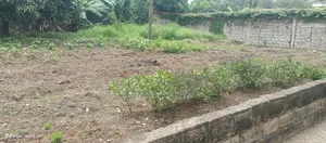 1/4 Land for Sale