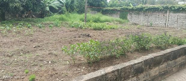 Plot for Sale - thumbnail 2