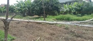 1/4 Land for Sale