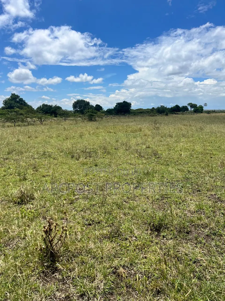 Prime 50 Acre Ranch for Sale in Mweiga Nyeri Near Tarmac