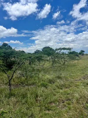 Prime 50 Acre Ranch for Sale in Mweiga Nyeri Near Tarmac