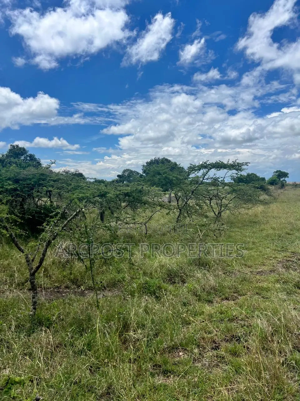 Prime 50 Acre Ranch for Sale in Mweiga Nyeri Near Tarmac