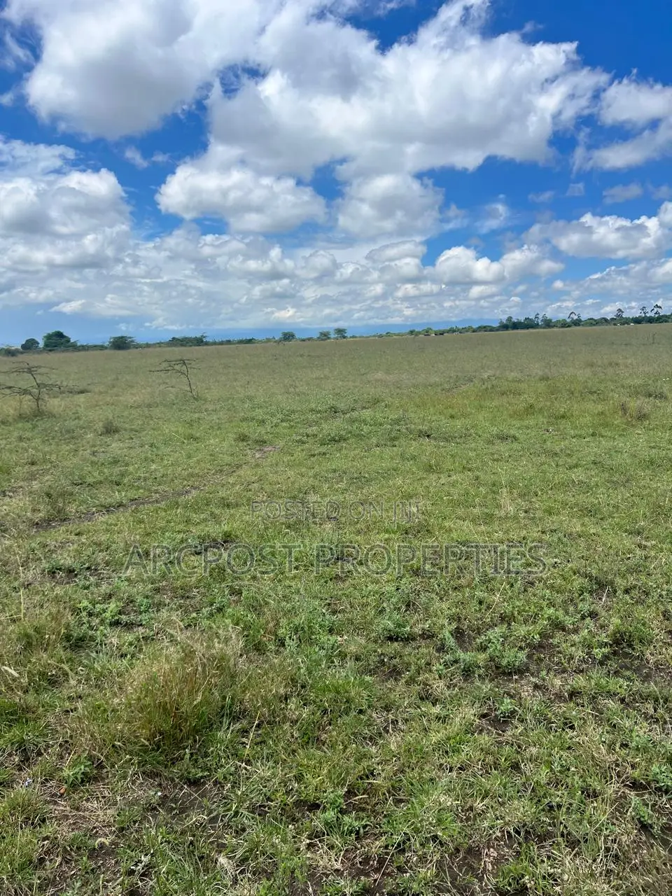 Prime 50 Acre Ranch for Sale in Mweiga Nyeri Near Tarmac