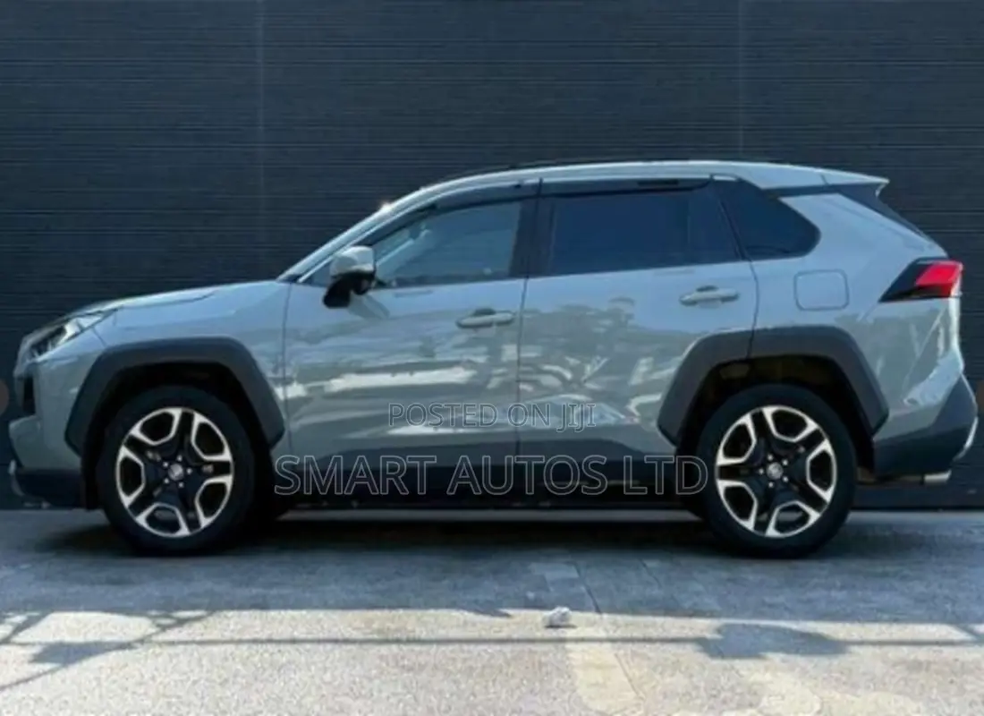 Toyota RAV4 Adventure AWD 2020 Silver