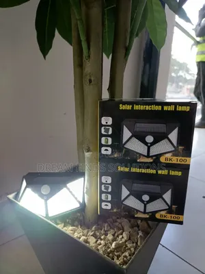 Bk;-100 Outdoor Wall Lighting