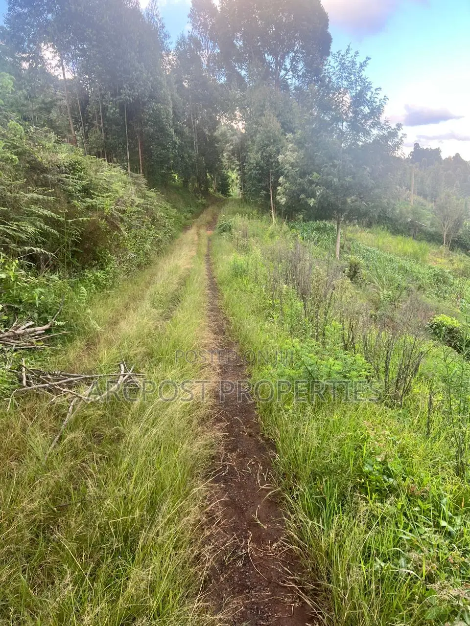 2 Acre Fertile Agricultural Land for Sale in Ndunyu Mahiga Nyeri