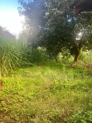 2 Acre Fertile Agricultural Land for Sale in Ndunyu Mahiga Nyeri