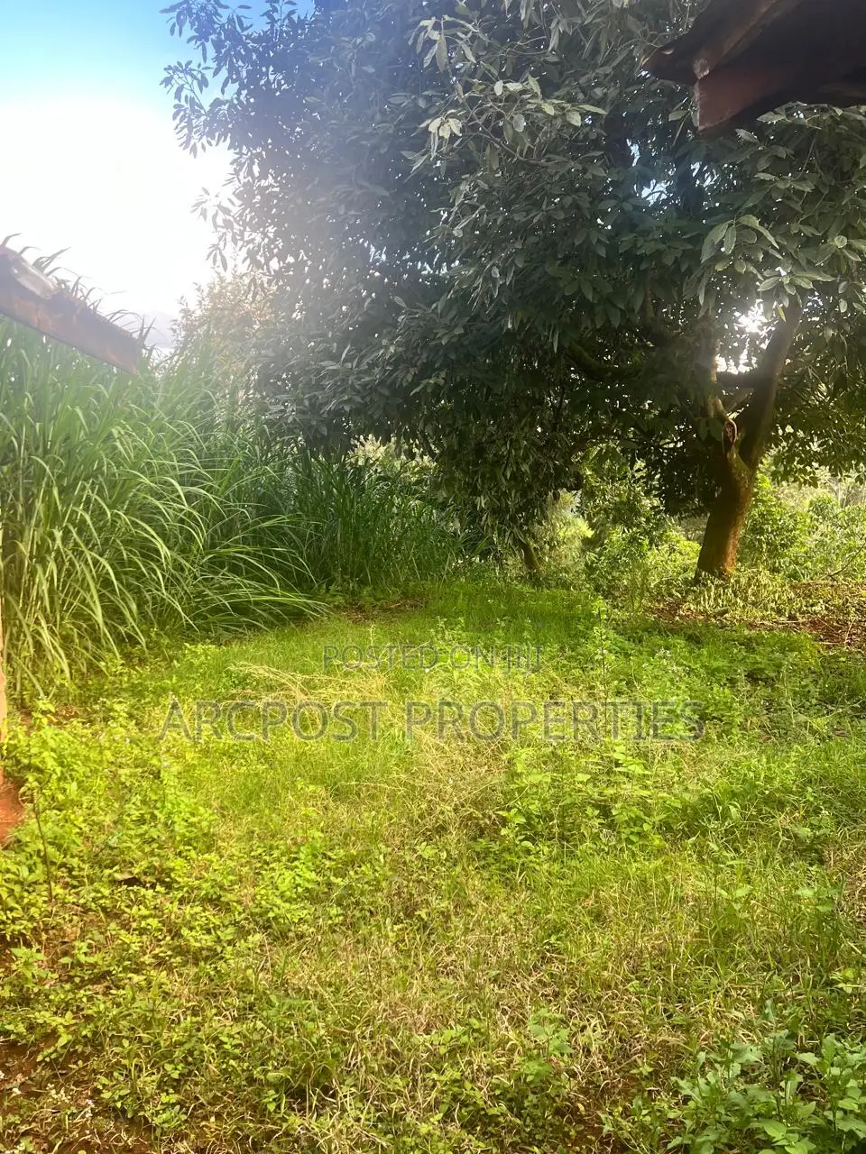 2 Acre Fertile Agricultural Land for Sale in Ndunyu Mahiga Nyeri