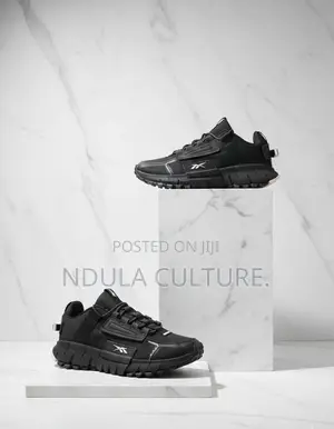 Reeboks Zig Kinetica Edge