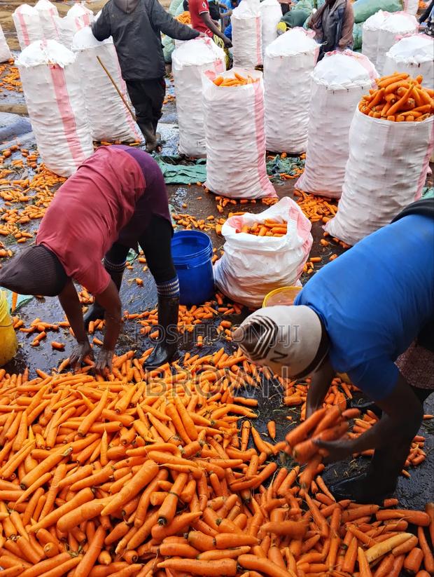 Fresh Farm Carrots - thumbnail 18