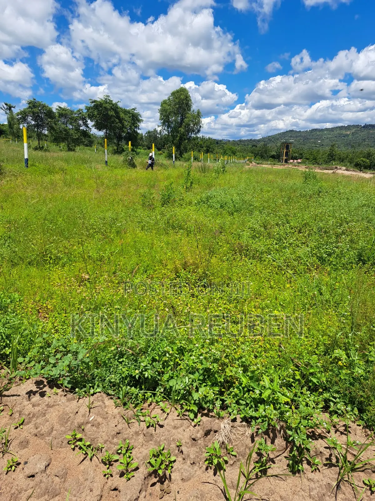 Plots for Sale in Makuyu Mananja