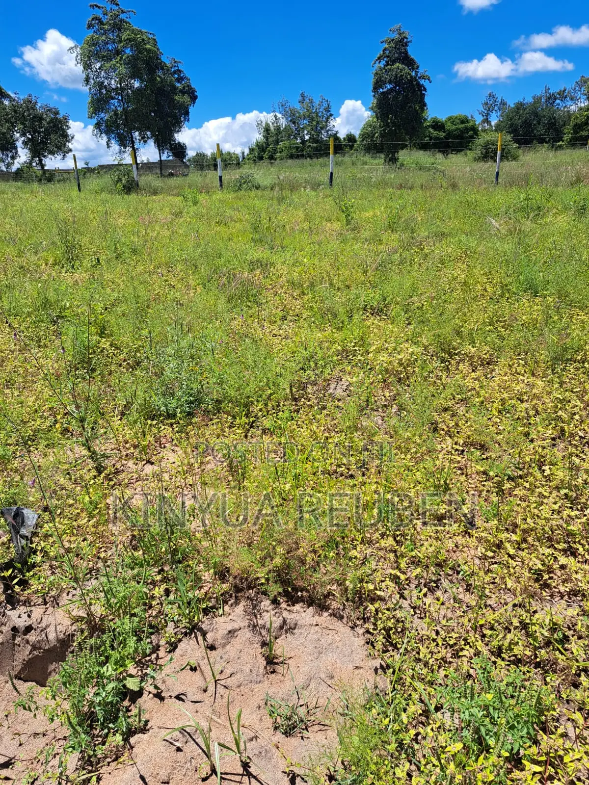Plots for Sale in Makuyu Mananja