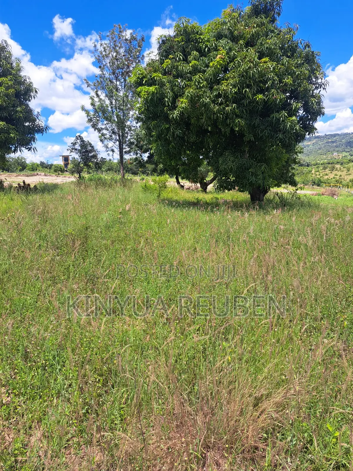 Plots for Sale in Makuyu Mananja