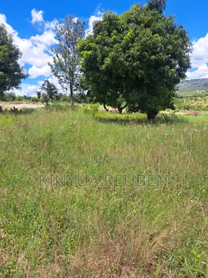 Plots for Sale in Makuyu Mananja