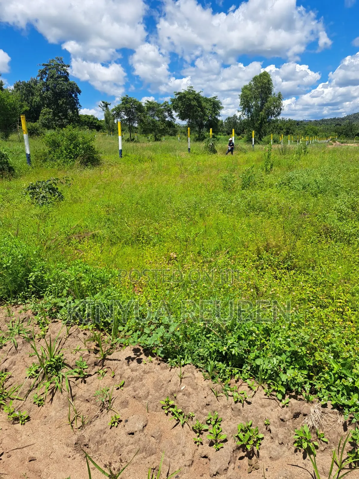 Plots for Sale in Makuyu Mananja