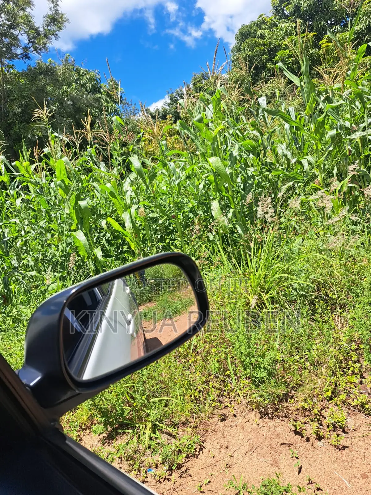 Plots for Sale in Makuyu Mananja