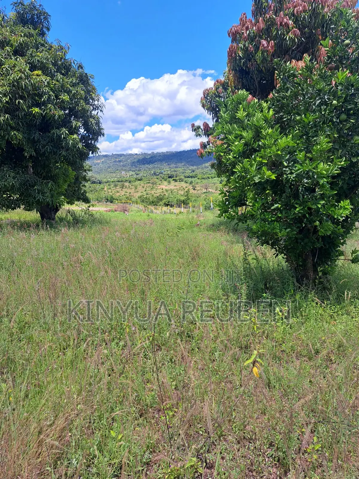 Plots for Sale in Makuyu Mananja