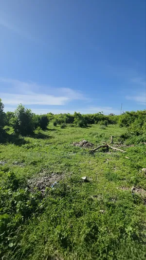 1 Acre Plot 2nd Row From the Beach Watamu Jacaranda for Sale