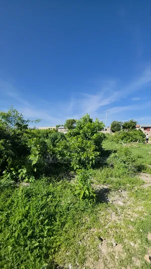 1 Acre Plot 2nd Row From the Beach Watamu Jacaranda for Sale