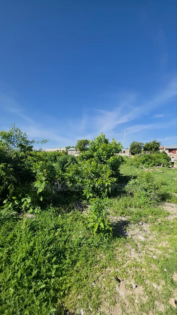1 Acre Plot 2nd Row From the Beach Watamu Jacaranda for Sale - thumbnail 5