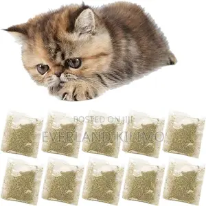 Catnips Treats Your Pet's - Each
