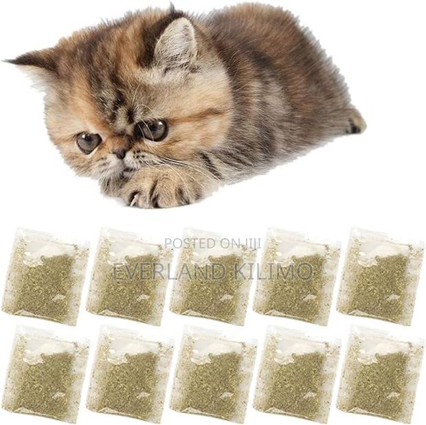 Catnips Treats Your Pet's - Each