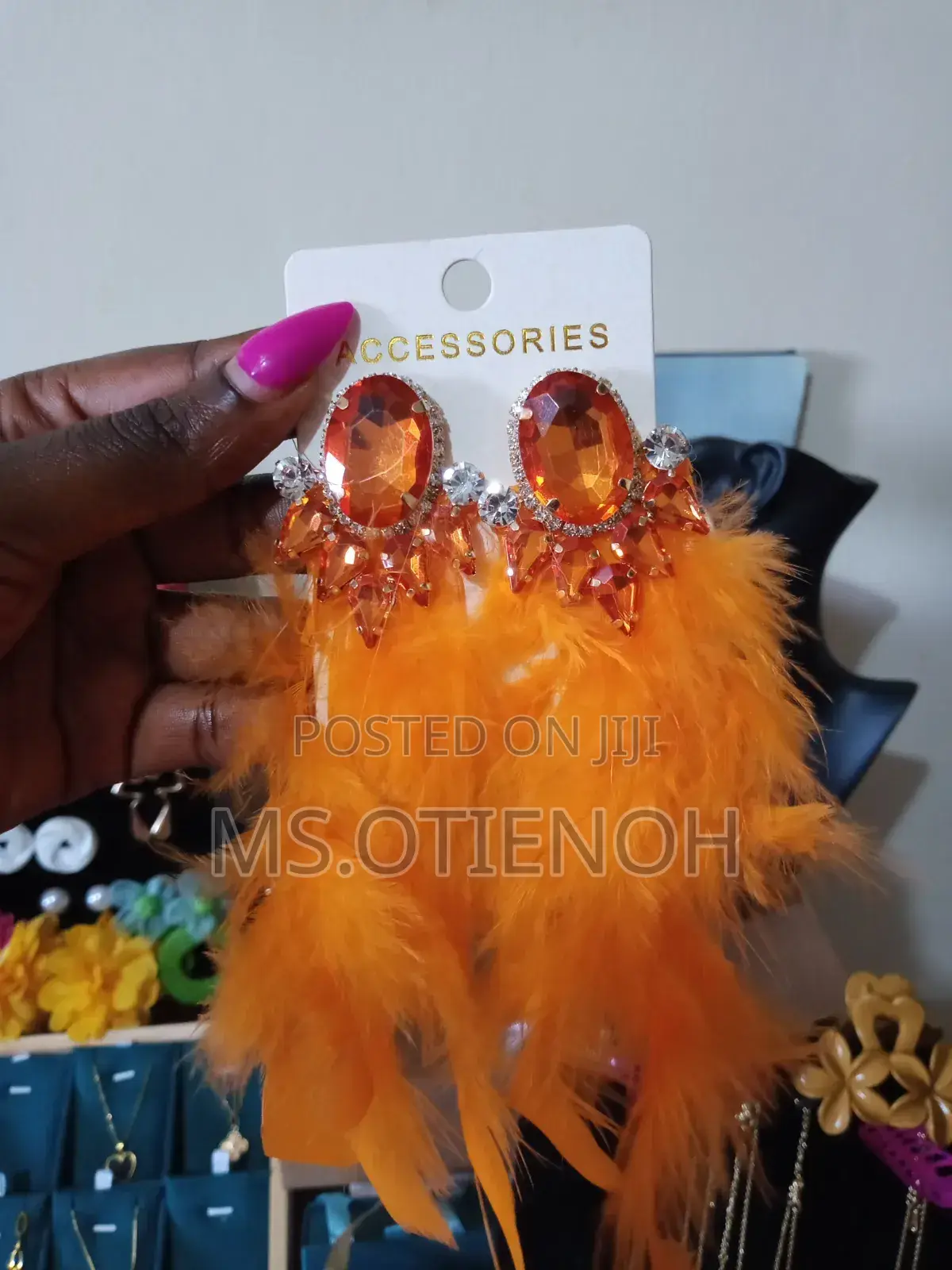 Fancy Floating Feathered Earrings