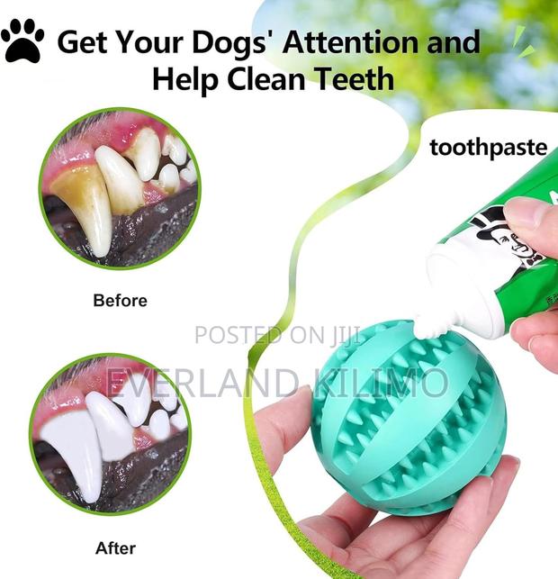 Teeth Cleaning Toy for Pet