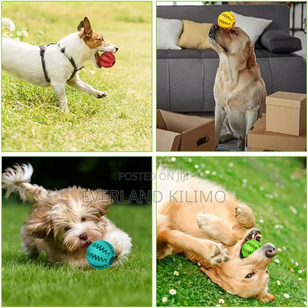 Tooth Cleaning Toy Ball