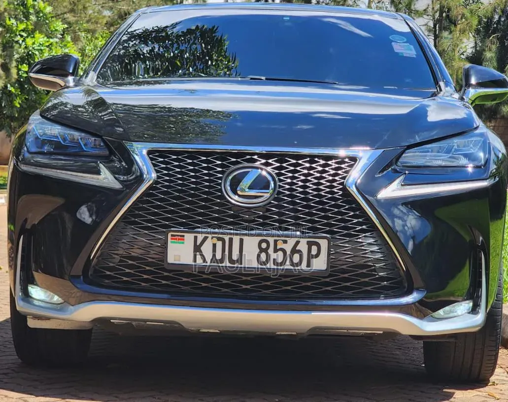 Lexus NX 2014 Black
