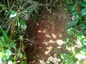 Land in Karen