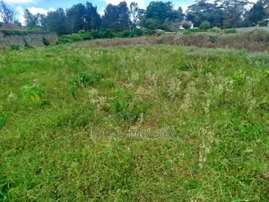 Land in Karen