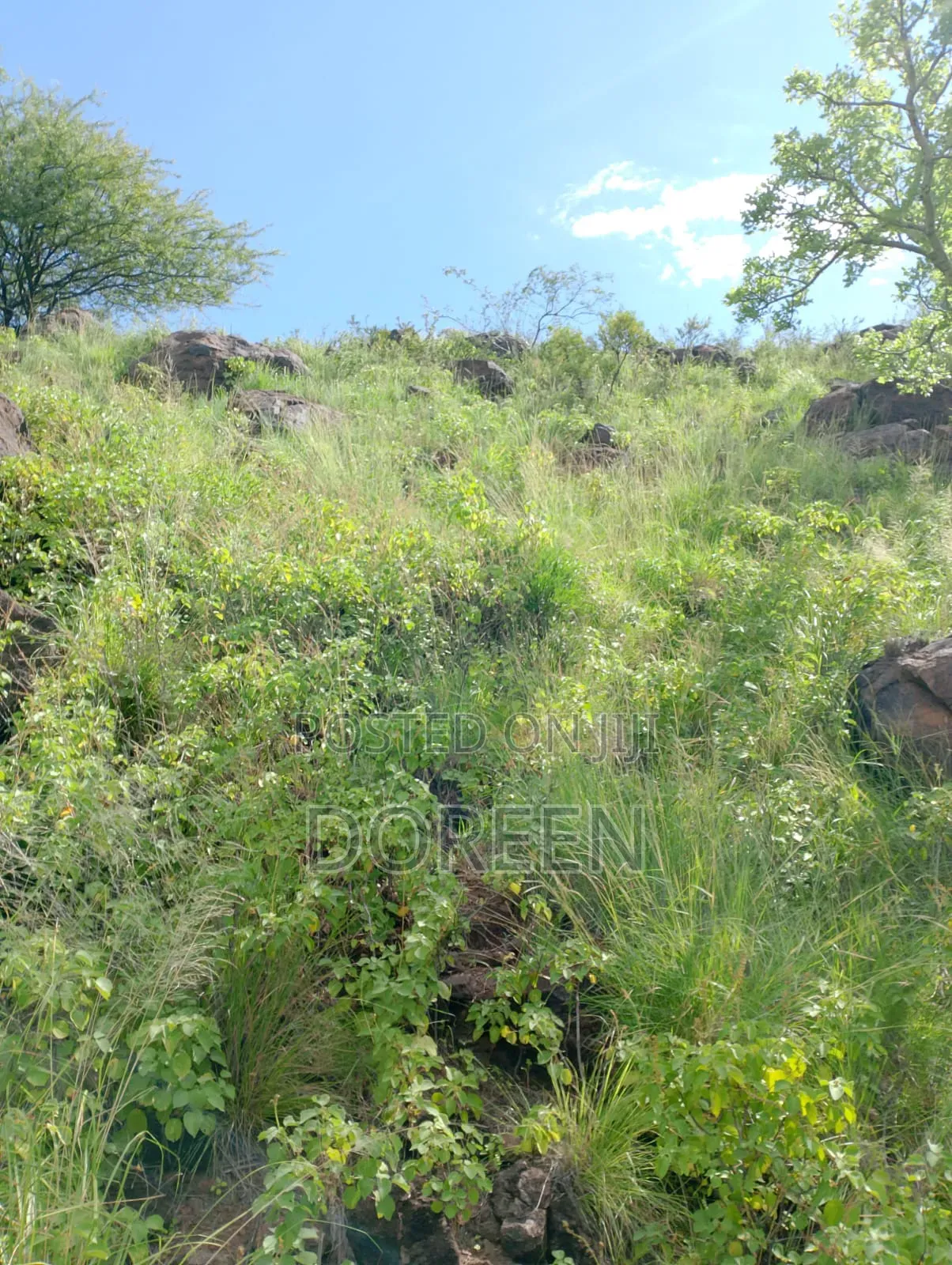 Land for Hotel Construction