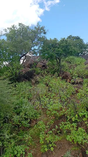 Land for Hotel Construction
