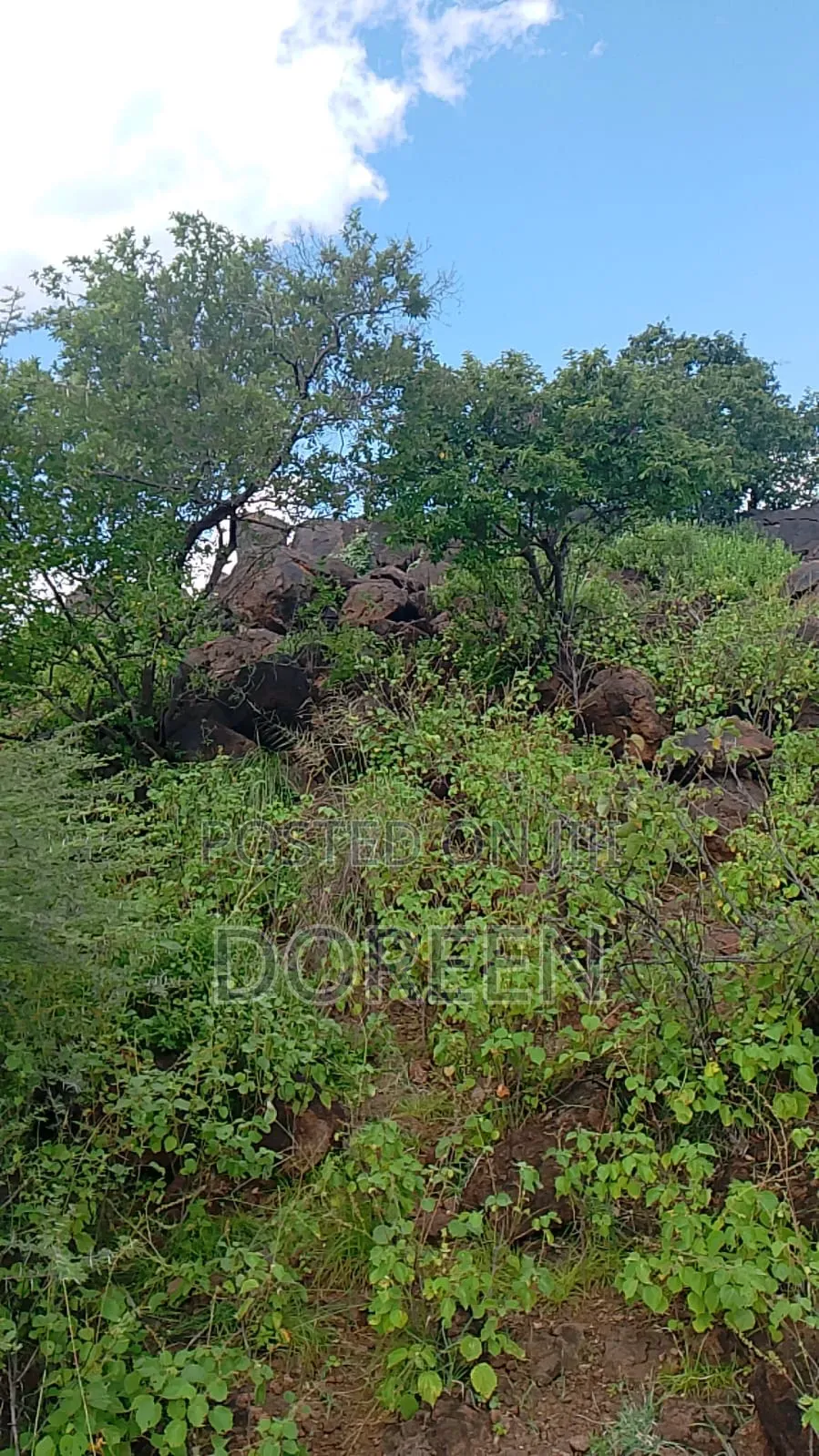Land for Hotel Construction