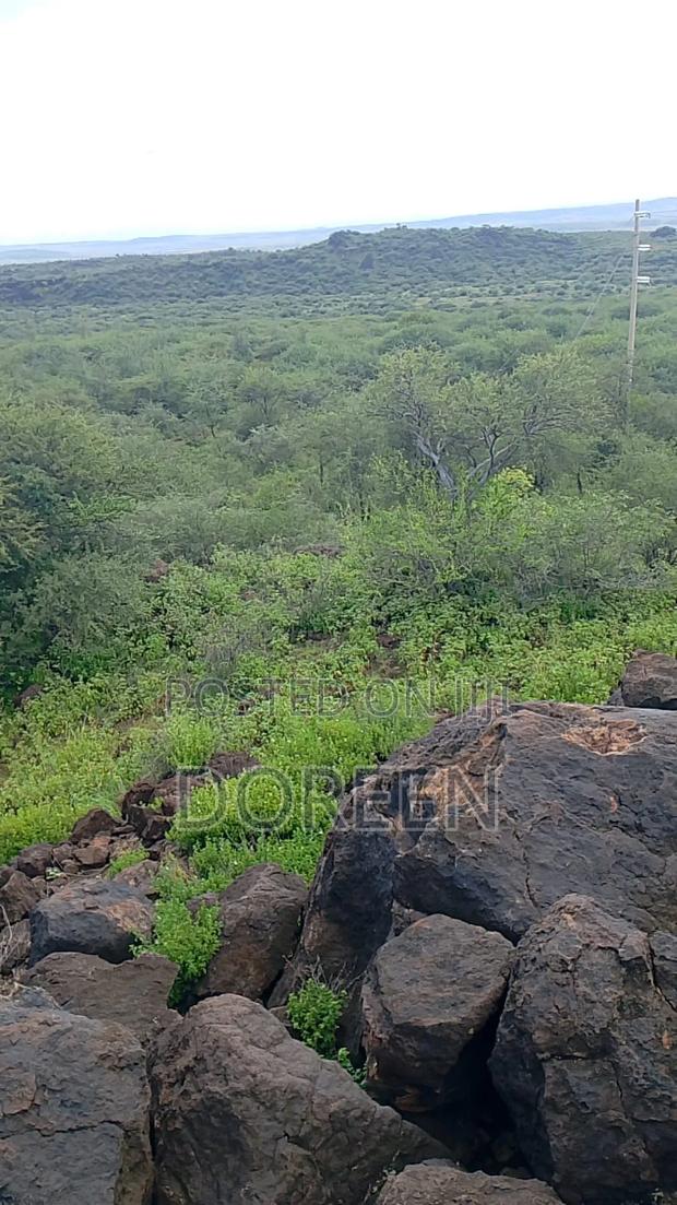 Lands for Cottages , Zipliners , Hotels - thumbnail 4
