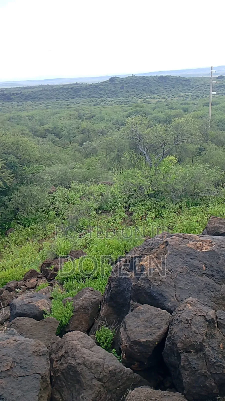 Land for Hotel Construction