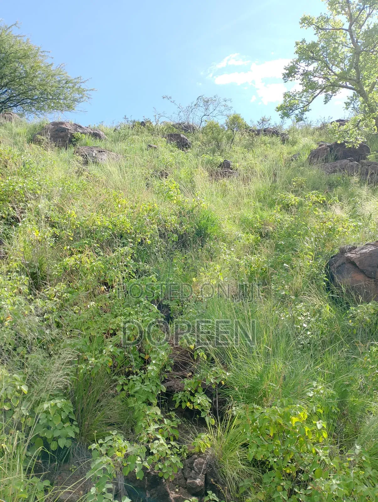 Land for Hotel Construction