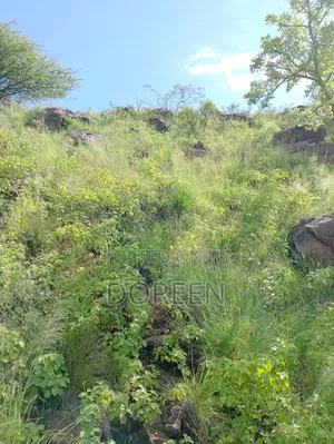 Land for Hotel Construction